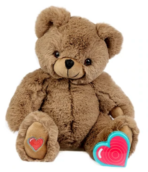 Ultrasound bear new arrivals